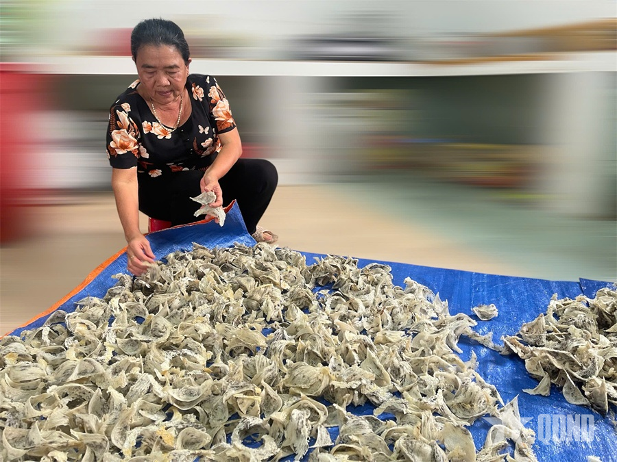 Xây nhà cho chim yến 